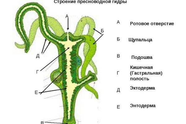 Как восстановить доступ к аккаунту кракен