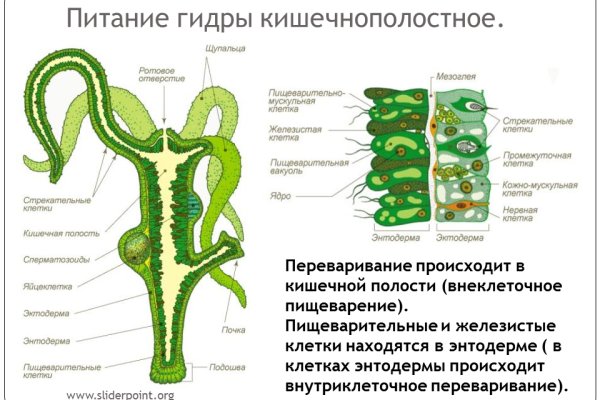 Кракен даркнет только через