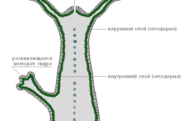 Как зайти на кракен в тор браузере