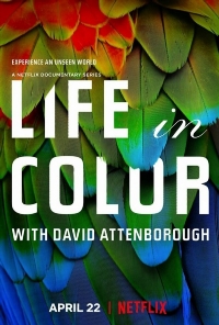 Жизнь в цвете с Дэвидом Аттенборо